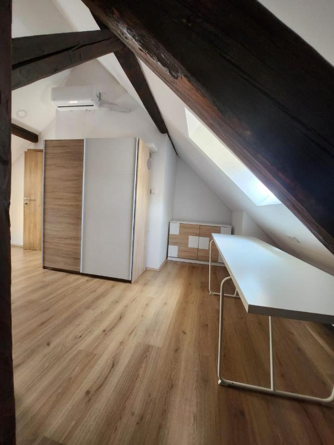 ザグレブApartman Buzanova 001アパートメント エクステリア 写真