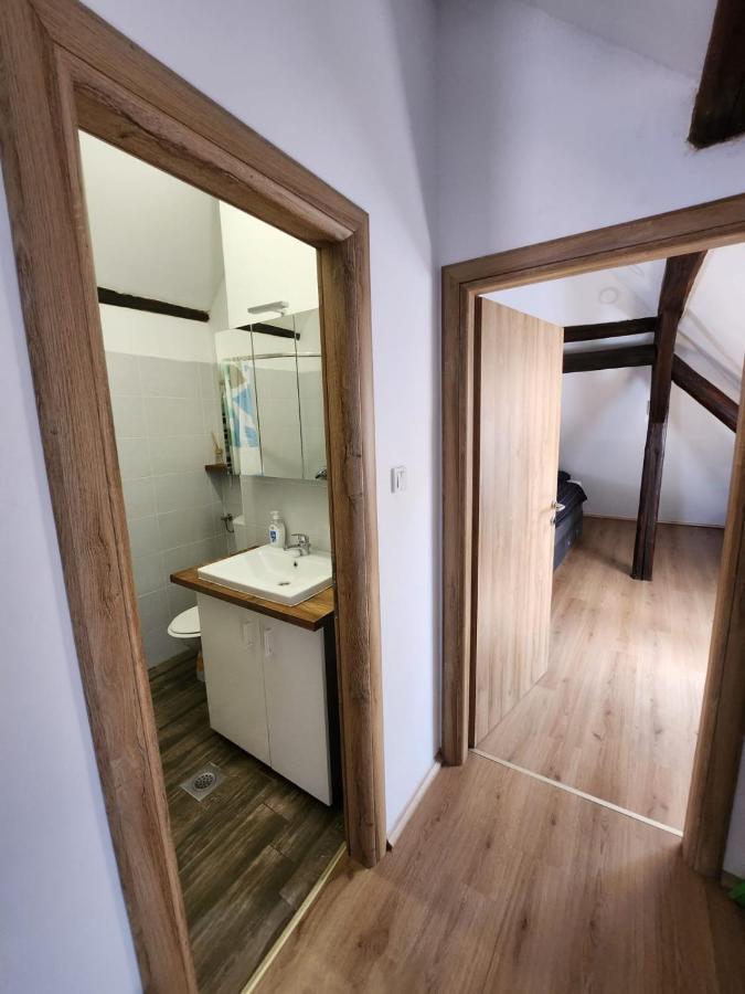 ザグレブApartman Buzanova 001アパートメント エクステリア 写真